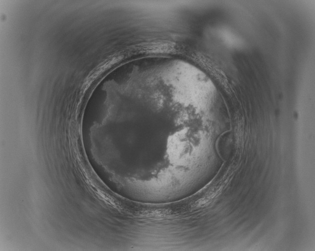 X0000084050721200702161506