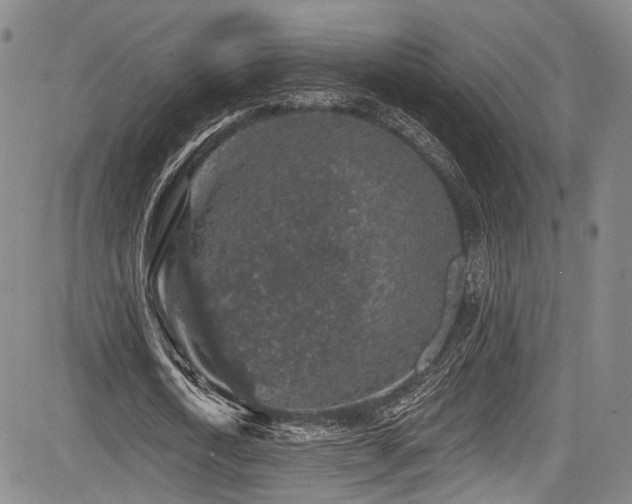 X0000084050722200702161506