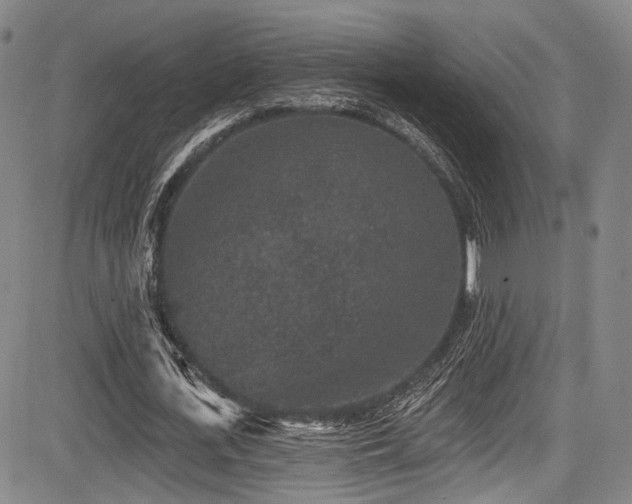 X0000084050723200702161506