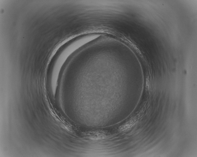 X0000084050724200702161506