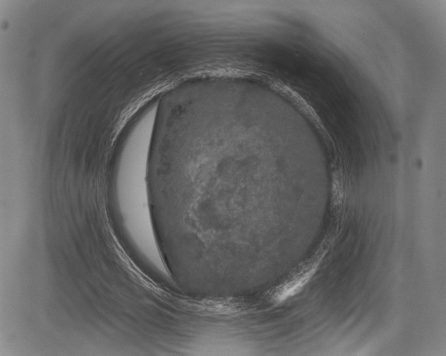 X0000084050725200702161506