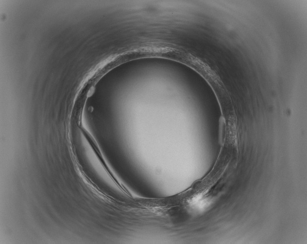 X0000084050726200702161506