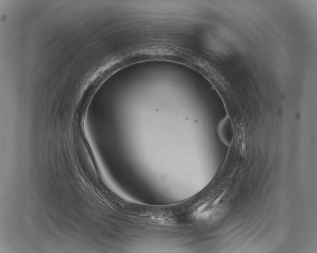 X0000084050727200702161506