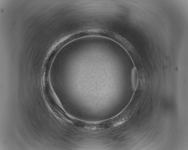 X0000084050728200702161506