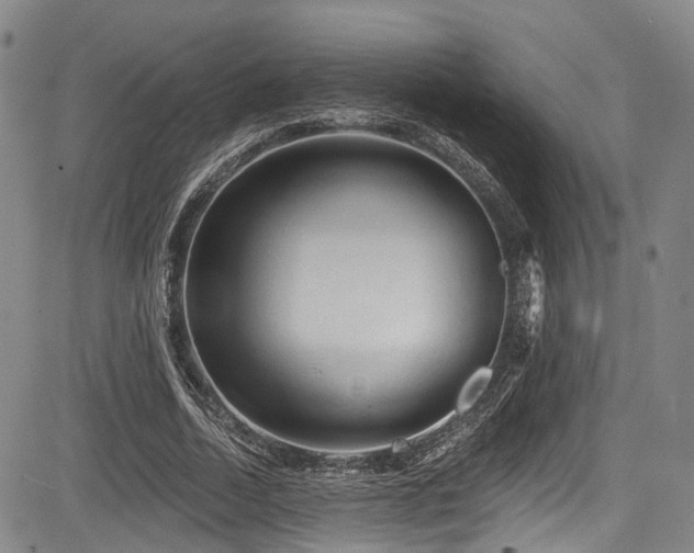 X0000084050730200702161506