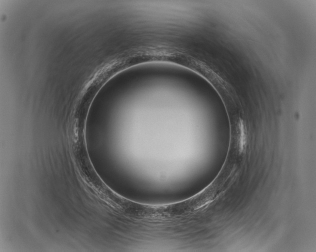 X0000084050731200702161506