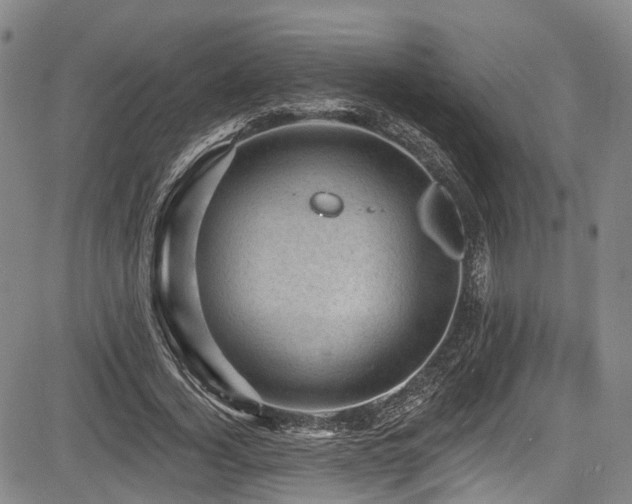 X0000084050732200702161506