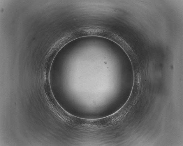 X0000084050733200702161506