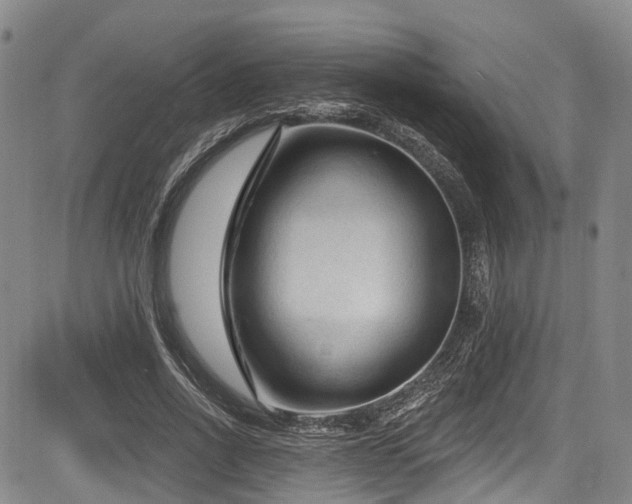 X0000084050734200702161506