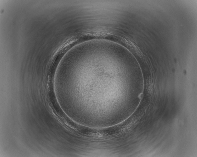 X0000084050735200702161506