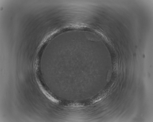 X0000084050736200702161506