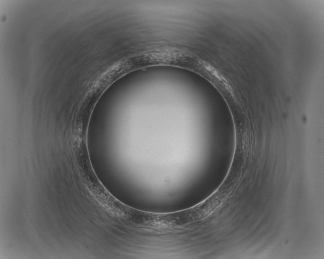 X0000084050737200702161506