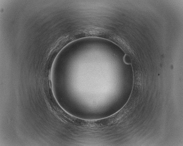 X0000084050738200702161506