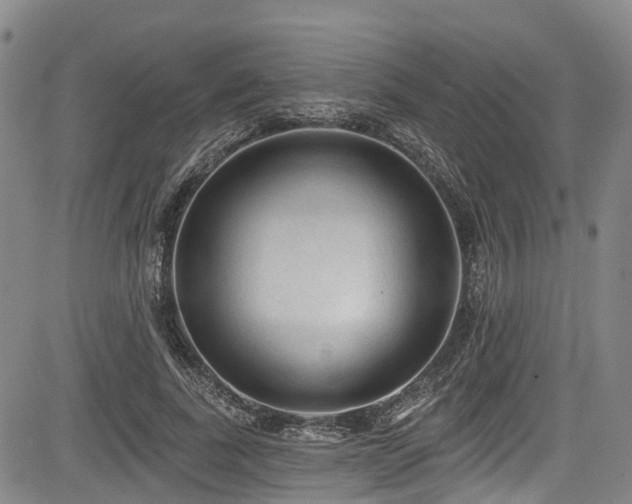 X0000084050739200702161506