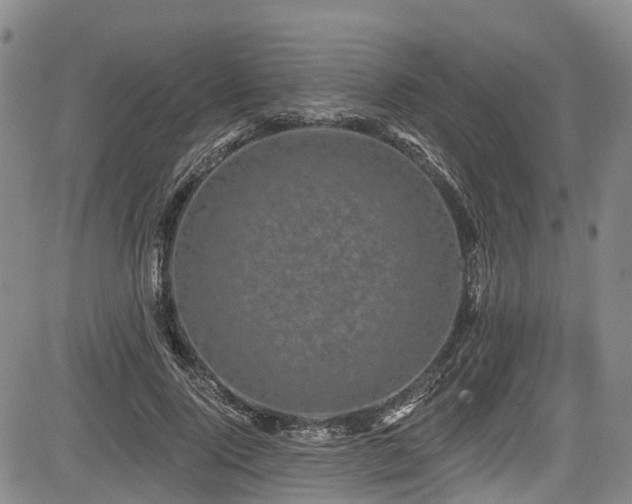 X0000084050740200702161506