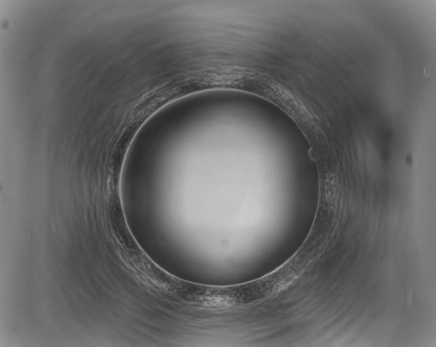 X0000084050741200702161506