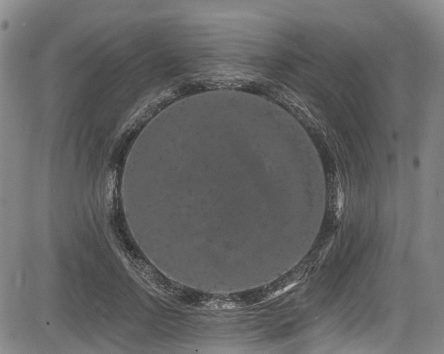 X0000084050742200702161506