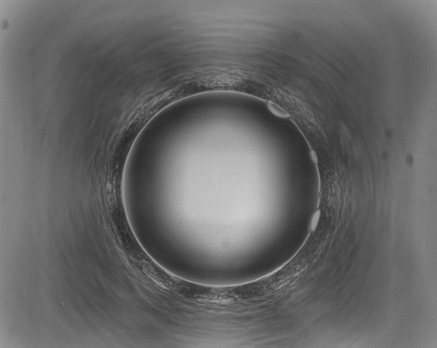 X0000084050743200702161506