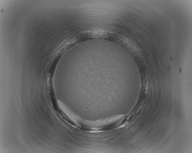 X0000084050744200702161506