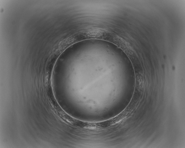 X0000084050745200702161506