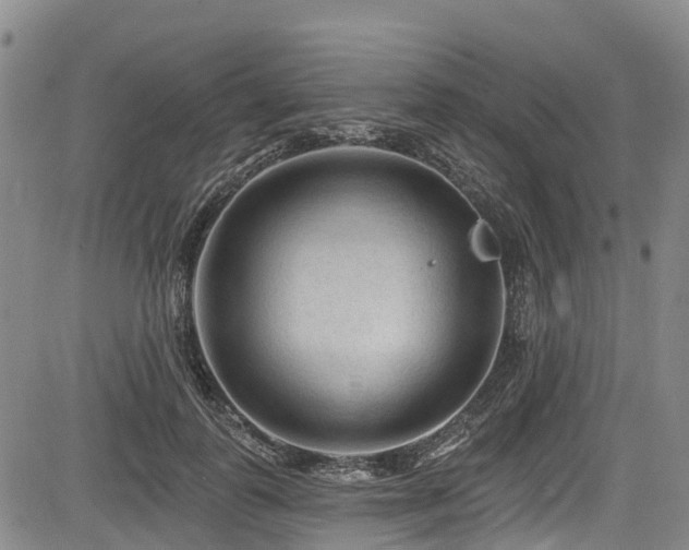 X0000084050747200702161506