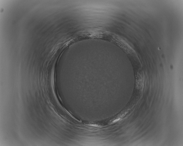 X0000084050748200702161506