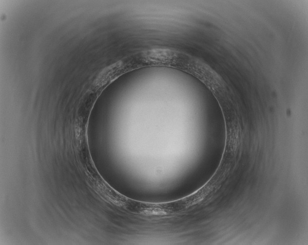 X0000084050749200702161506