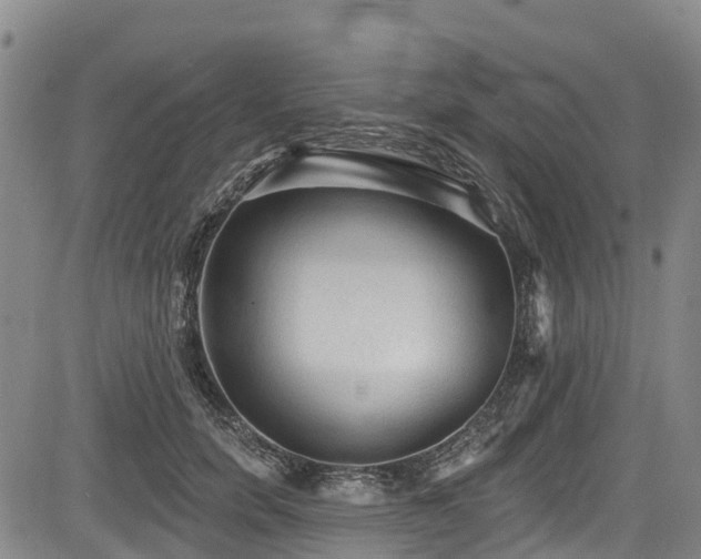 X0000084050750200702161506