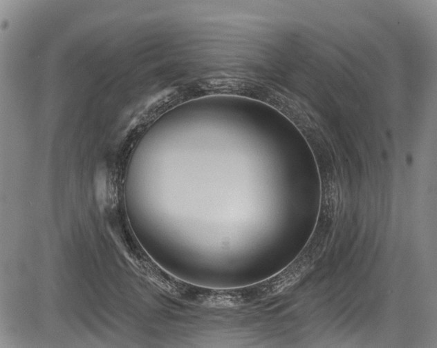 X0000084050751200702161506