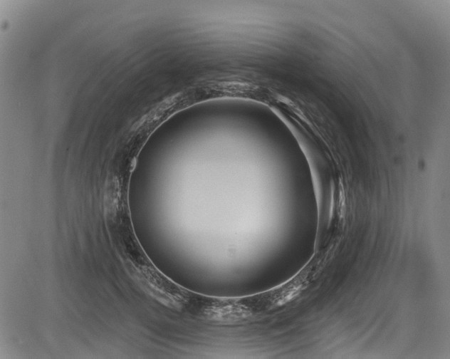 X0000084050752200702161506