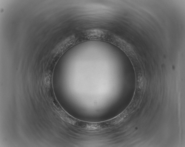 X0000084050753200702161506