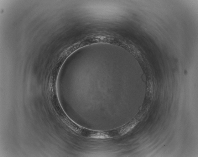 X0000084050754200702161506