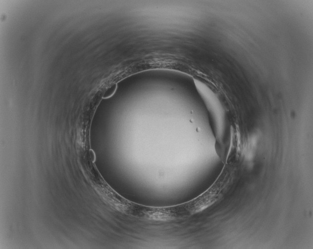 X0000084050755200702161506