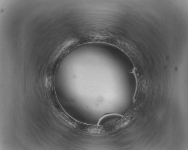 X0000084050756200702161507