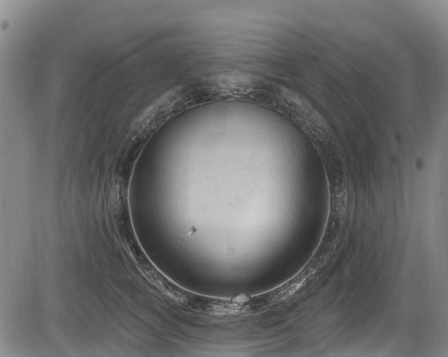 X0000084050757200702161507