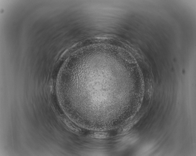 X0000084050758200702161507