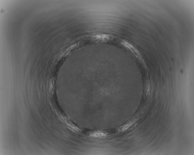 X0000084050759200702161507