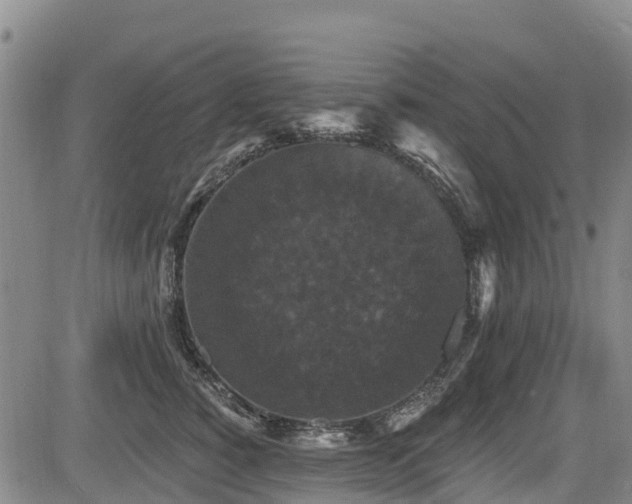 X0000084050760200702161507