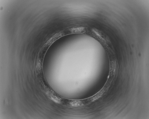 X0000084050761200702161507