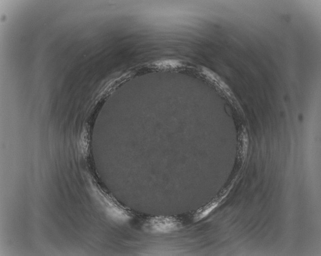 X0000084050762200702161507