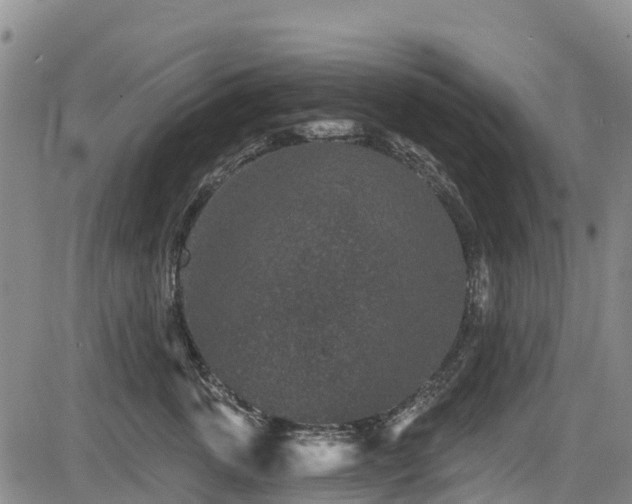 X0000084050763200702161507