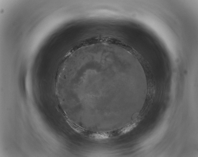 X0000084050765200702161507