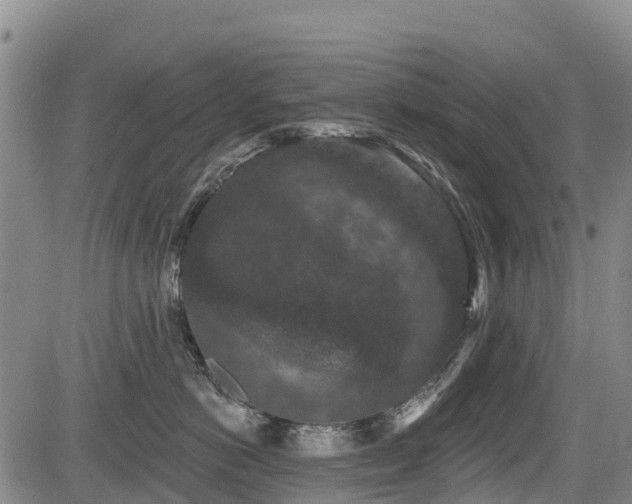 X0000084050766200702161507