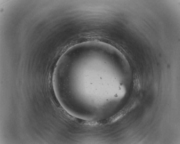 X0000084050767200702161507