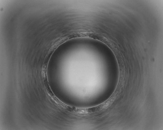 X0000084050768200702161507