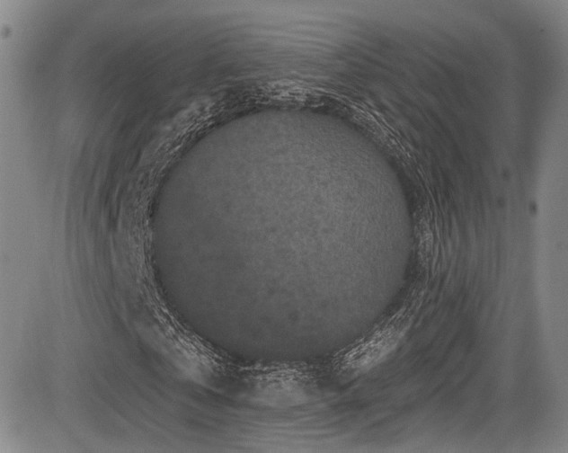 X0000084050769200702161506