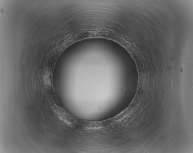 X0000084050770200702161506