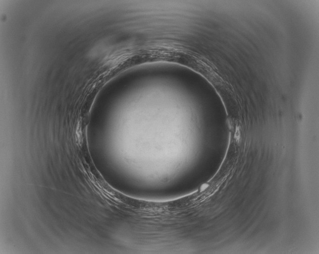 X0000084050771200702161506