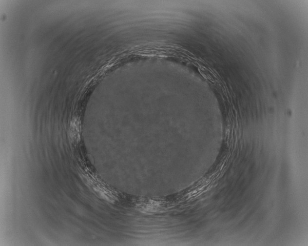 X0000084050772200702161506