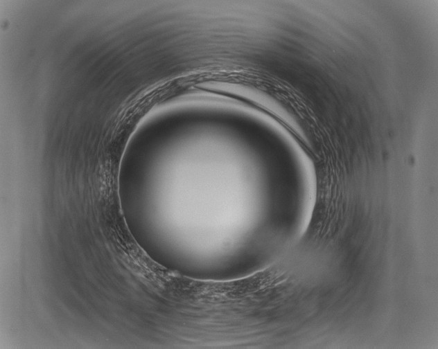 X0000084050773200702161506